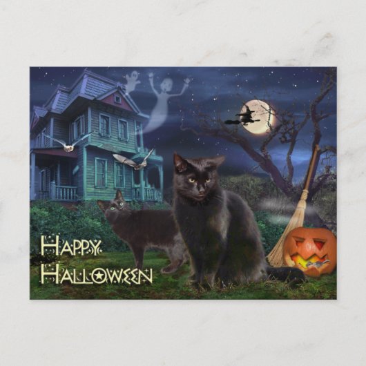 Happy Halloween Cats Briefkaart (Voorkant)