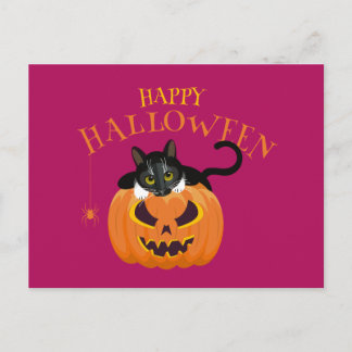 Happy Halloween Chat fun Carte postale
