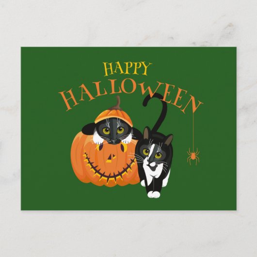 Happy Halloween Chat fun Carte postale (Devant)
