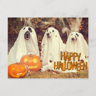 Happy Halloween Cute Dogs in Ghost Costumes Feestdagenkaart