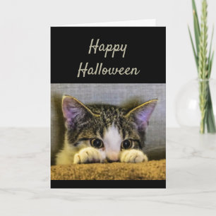 Happy Halloween Cute Scared Kitten Funny Kaart