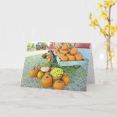 Happy Halloween Herfst Pumpkin Display Kaart (Gele Bloem)