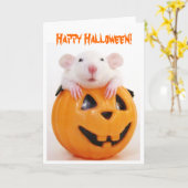 Happy Halloween Pumpkin Rat Kaart (Gele Bloem)