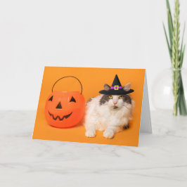 Happy Halloween voor iedereen die Cute Cat in Witc Feestdagen Kaart