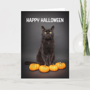 Happy Halloween voor iedereen zwarte katten met po Feestdagen Kaart