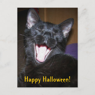 Happy Halloween Yawn Black Cat Briefkaart