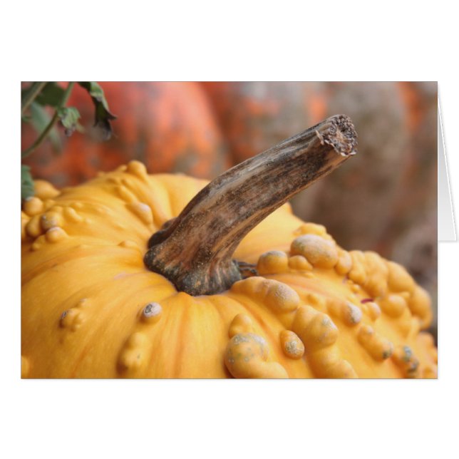 Happy Harvest! (Voorkant Horizontaal)