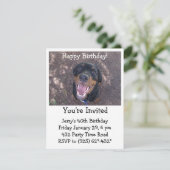 Happy Heidi Rottweiler Invitation (Debout devant)