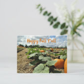 Happy Herfst Pumpkins in een Patch Foto Briefkaart (Staand voorkant)
