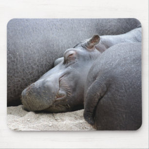 Happy hippo mousemat muismat