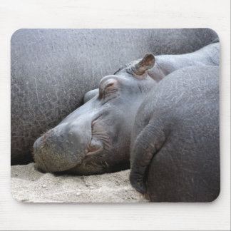 Happy hippo mousemat muismat
