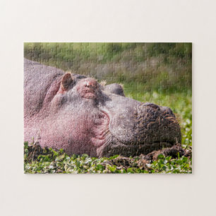 Happy Hippo Puzzle Legpuzzel