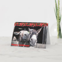 Happy Holibrays uit Bunny en Hershey!