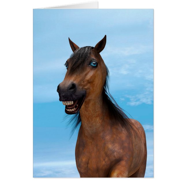 Happy Horse (Voorkant)