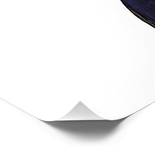 Happy Horse ' JeFF ' van Shirley MacArthur Perfect Poster (Hoek)