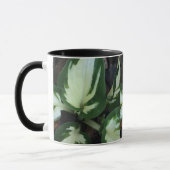 Happy Hosta Combo Mug (Gauche)