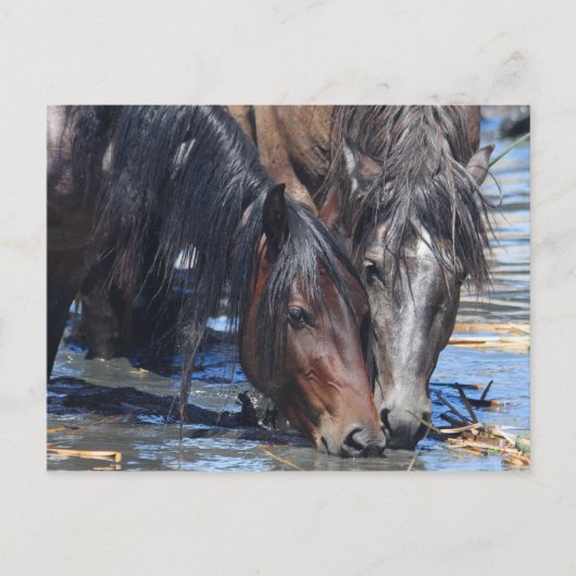 Happy Hour Briefkaart (Voorkant)