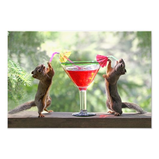 Happy Hour Squirrels Foto Afdruk (Voorkant)