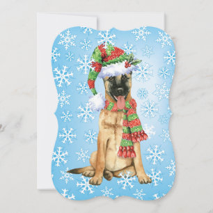 Happy Howlidays Belgische Malinois Feestdagenkaart