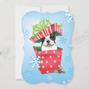 Happy Howlidays Boston Terrier Feestdagenkaart