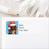 Happy Howlidays Boykin Spaniel Etiket (Insitu)