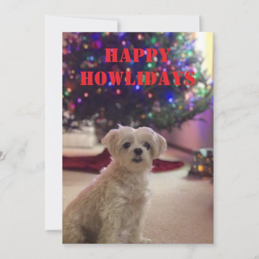 Happy Howlidays Christmas Card Kaart (Voorkant)