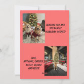 Happy Howlidays Christmas Lights Photo Card Feestdagenkaart (Achterkant)