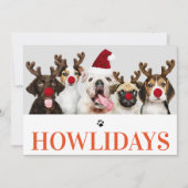 Happy Howlidays Eerste Kerstdag Fotokaart Kaart (Voorkant)