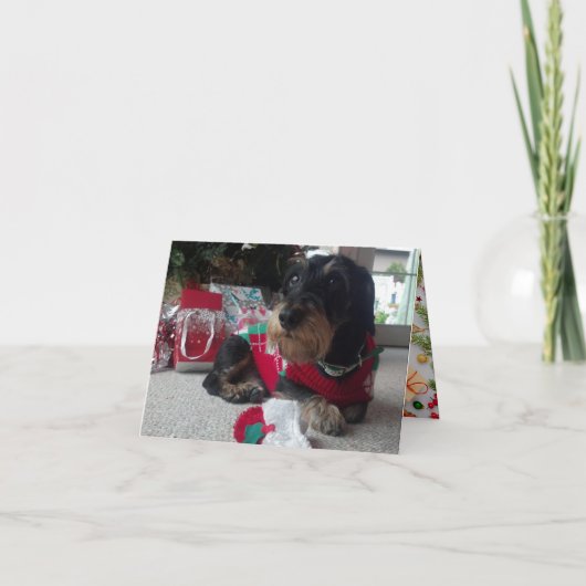 Happy Howlidays Feestdagen Kaart (Voorkant)