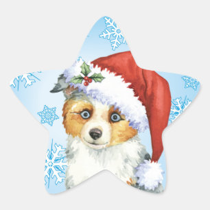 Happy Howlidays Mini American Shepherd Ster Sticker