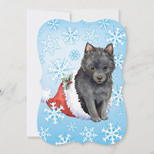 Happy Howlidays Schipperke Feestdagenkaart