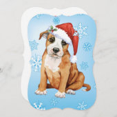 Happy Howlidays Staffordshire Bull Terrier Feestdagenkaart (Voorkant / Achterkant)