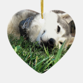 Happy Husky Keramisch Ornament