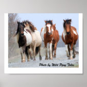 Happy Joggers Poster (Voorkant)