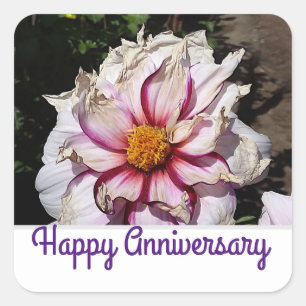 Happy Jubileum Dahlia Edge of Joy #1-2 Stickers