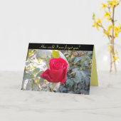 Happy Jubileum kaart - rode roos grappig (Gele Bloem)