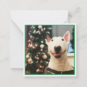 Happy kerstglimlachend bull Terrier Notitiekaartje