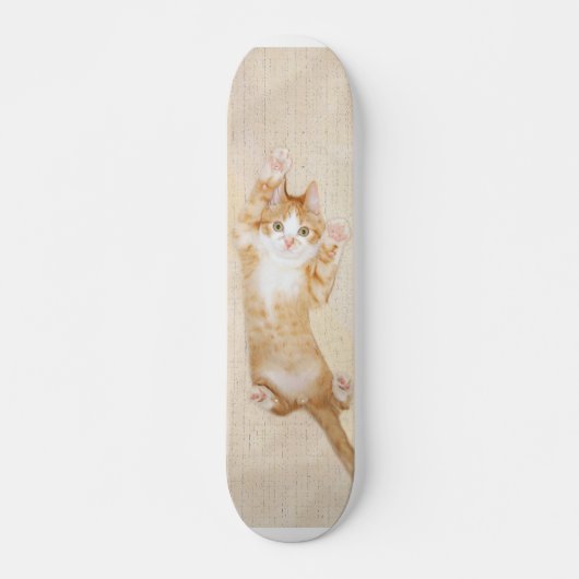 Happy kitty skateboard (Devant)