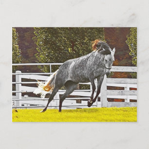 Happy Leaping Horse Briefkaart