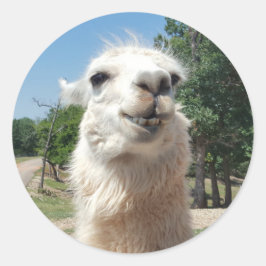 Happy Llama Ronde Sticker