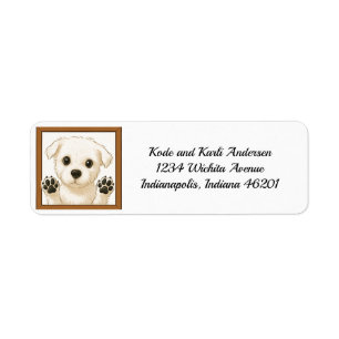 Happy Maltese puppy retouradres Etiket