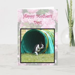 Happy Moederdag Agility Boston Terrier kaart