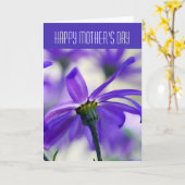 Happy Moederdag - Algemeen - Paarse Cineraria Kaart (Gele Bloem)