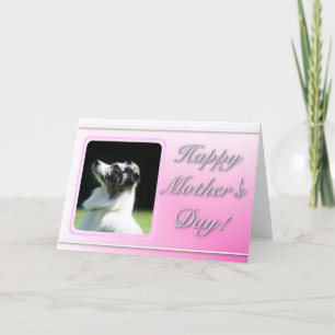 Happy Moederdag Australian Shepherd kaart