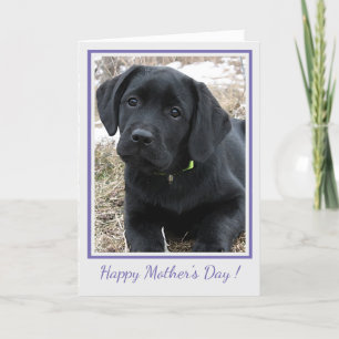 Happy Moederdag Black Labrador - Schattigee puppy Bedankkaart