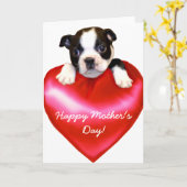 Happy Moederdag Boston Terrier Kaart (Gele Bloem)