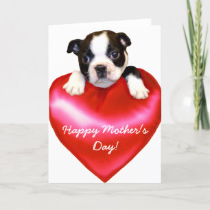 Happy Moederdag Boston Terrier Kaart
