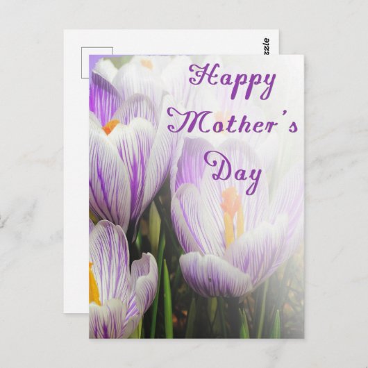 Happy Moederdag Bright Paarse en witte Tulips Briefkaart (Voorkant / Achterkant)