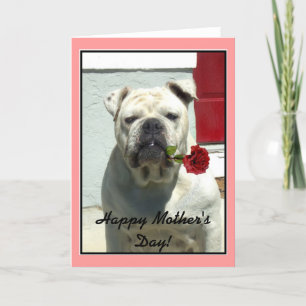 Happy Moederdag bulldog wenskaart Kaart