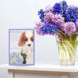 Happy Moederdag Cavalier met Hydrangea Kaart